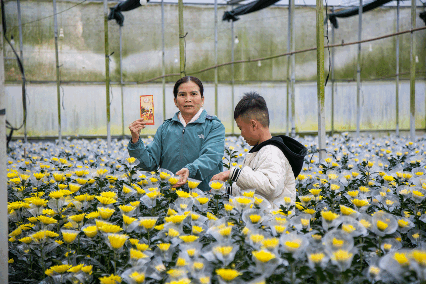 Hoa nở rộ tại Onat Farm