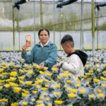 Hoa nở rộ tại Onat Farm