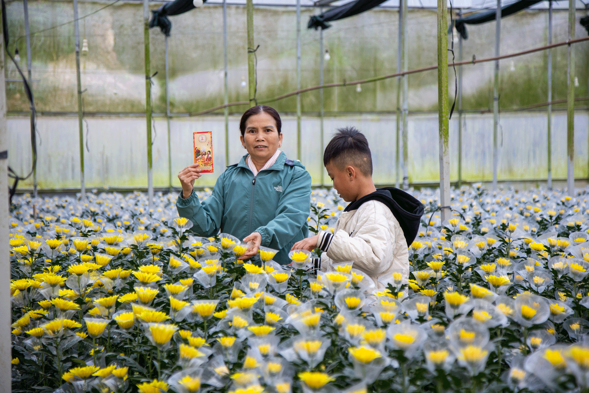 Hoa nở rộ tại Onat Farm